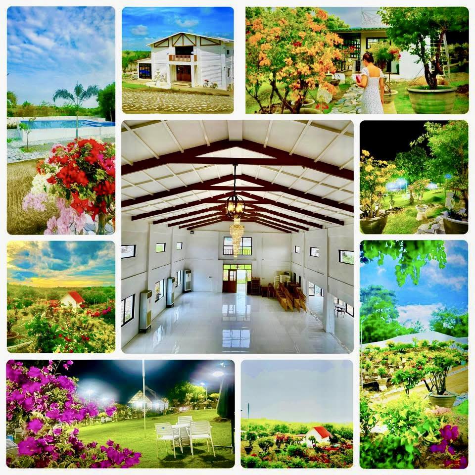 Ceremony Venue